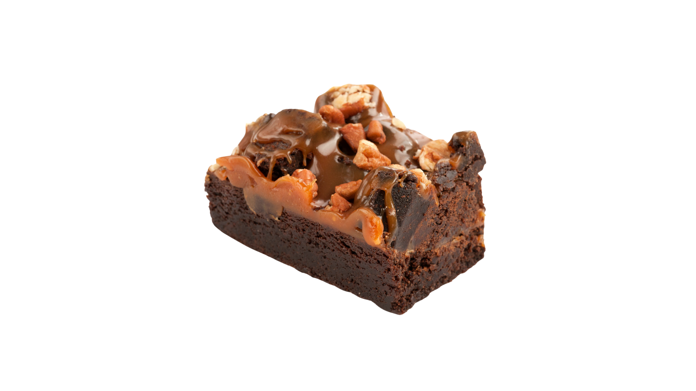 Turtle Brownie